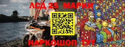 стаф Новозыбков
